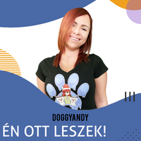 Kép 2/8 - ZALAEGERSZEG 2023. 04. 22. | 2. felvonás VIP jegy
