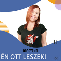 Kép 2/8 - DUNAÚJVÁROS 2023. 10. 22. | 2. felvonás VIP jegy